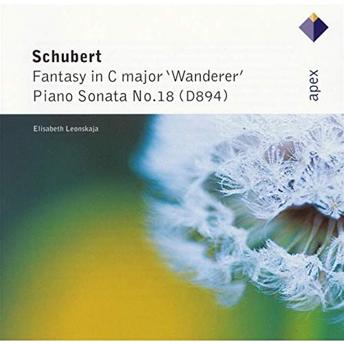 Schubert : Wanderer Fantasy & Piano Sonata No.18  -  Apex
