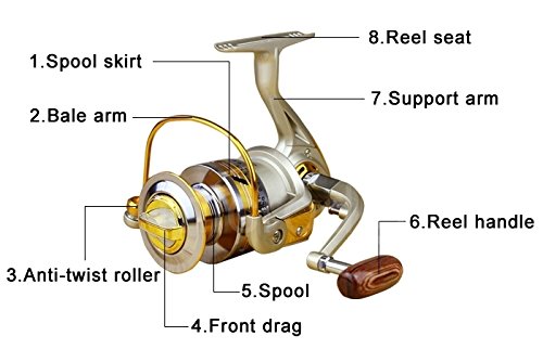 best cheap saltwater fishing reel Best Inshore Saltwater Reel For You: $100 vs $200 vs $300