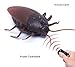 Produktbild Oriental eLife Infrared Remote Control Realistic Fake Giant Cockroaches RC Prank Toys Insects for kids