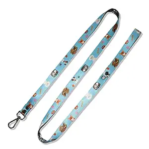 Petitude Premium Dog Leash-Cat Leash / Pet Training Leash 50 Inch Long / Nylon Dog Leash / Perfect for Small Dog/Cat - Sky Blue