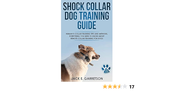 shock collar training tips