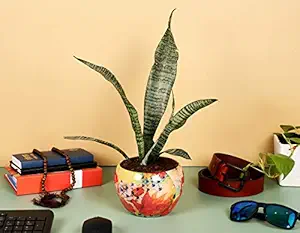 HINS Orange Multicolour Print Metal Round Shape Flower Plant Pot For Indoor Plants (Without Stand) Metal Pots For Indoor Plants I Elevated Garden Planter I Raised Planter I Desk Plant I Raised Planter Box I Ascent Homes Metal Planter I Raised Planter Box With Legs I Brass Pots For Indoor Plants I Golden Planter I Mid Century Plant Stand I Brass Planters For Indoor Plants I Indoor Plant Stand For Living Room I Metal Planters Pot For Indoor Plants designer pots f