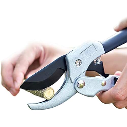 Suchergebnis auf Amazon.de für: japanische gartenschere: Baumarkt