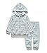 Oissie Baby Boys Zebra Hoody with Sweatpants 12M LightBlueG