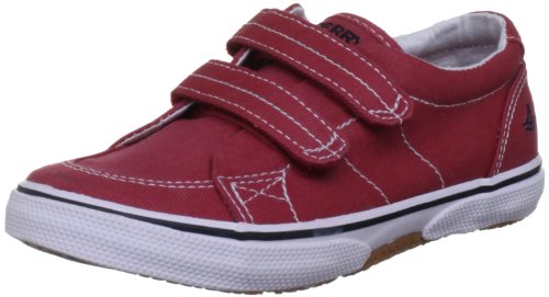 « Click to Enlarge and to go to Amazon »