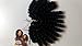 Jamaican Bounce Black Colour 1B. Havana Mambo and Senegalese Twist Style by African Collection