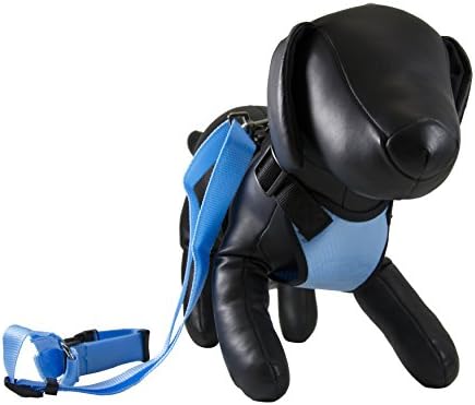 Petcessory PHB-001-BLU-XS Travel Harness with Leash, X-Small, Blue