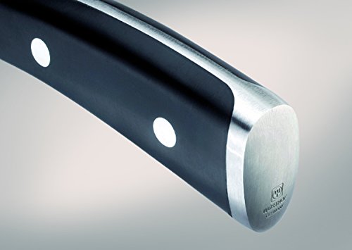 Wüsthof 4086/09 Spickmesser - 4