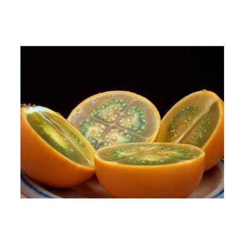 5 Samen Solanum quitoense - Naranjilla , Lulo, kaum erhältliche Früchte, lecker