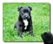 Produktbild Hund Maus pad001, ct30, 260*210*3 mm