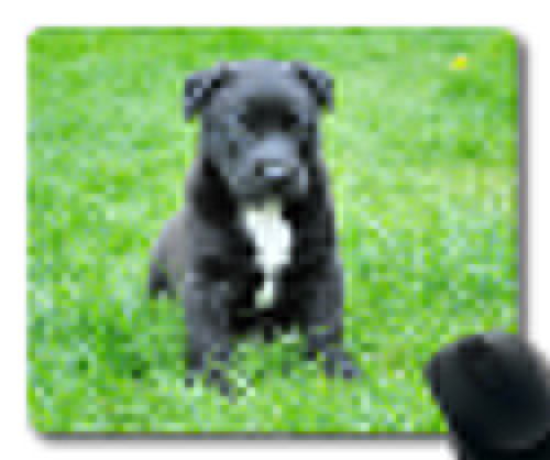 Preisvergleich Produktbild Hund Maus pad001, ct30, 260*210*3 mm