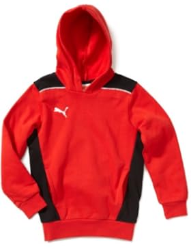 PUMA Kinder Sweatshirt Foundation Hooded