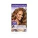 Price comparison product image Dark & Lovely Hair dye Permanant Color 379 Golden Bronze