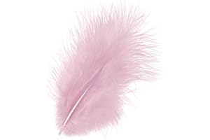 KNORR PRANDELL Gütermann/KnorrPrandell 6619215 - Piuma, 10 cm, 15 Pezzi a Confezione, Colore: Rosa