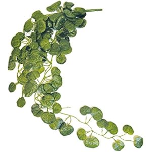 Namiba Terra 5926 Hängepflanze, Großblättrige Begonie, Seide, circa 85-90 cm, grün/gelb geadert