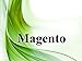 Produktbild Magento 1 Webshop - Installation + XL-Service + Domain + Webhosting