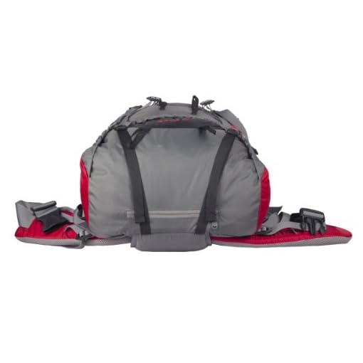 Wildcraft Alpinist 55 Ltrs Red Rucksack (8903338000907) - Image 4