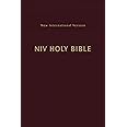 NIV, Holy Bible, Compact, Paperback, Burgundy, Comfort Print