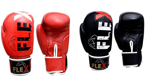 flex bag boxing