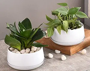 [Set of 2] Elemntl Metal Planter Pot for Indoor Plants & Flowers | 5.5 x 3 in | Table Top Planter for Living Room, Home Decor, Terrace, Balcony & Home Gardening (Matte White with Drain Plate)