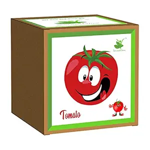 Sow and Grow Seed Starter Grow Kit of Tomato || DIY Easy Grow it Yourself Vegetable Gardening Kit for Home and Garden || A Complete Beginner Gardeners Gardening Set