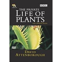 David Attenborough - The Private Life of Plants [DVD]: Amazon.co