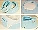 Karibu Portable Travel Potty with 10 Potty Liners (Blue)