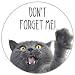 Produktbild Mauspad mit Katzen-Motiv und Spruch I Ø 22 cm rund I Mousepad in Standard-Größe, rutschfest I für Mädchen Teenager Frauen I Dont forget me I dv_467