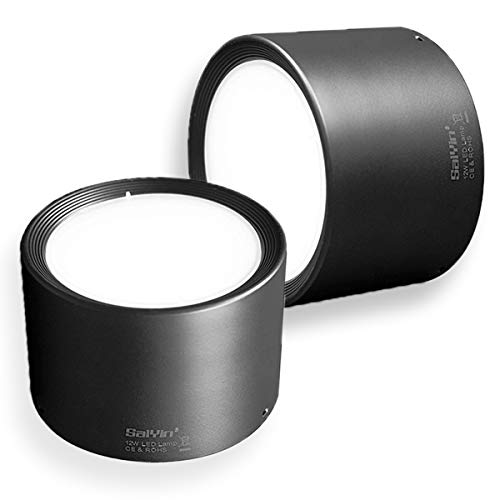 2 Pack Plafoniera LED da soffitto con faretti,Saiyin Dimmerabile LED Focos plafone Faretti LED Lampada Plafoniera Interno Camera Cucina Bagno(6000K, 12W Blackshell)