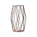 Produktbild Grilsrylyna Hydroponische Vase,Nordic Metall Licht Kreative Hydroponics Container Grüne Rose Blumenvase Metallverzierungen Wohnzimmer Schlafzimmer Dekorationen Diamant Rose Gold