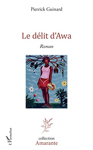 couverture de : Le d&eacute;lit d'Awa