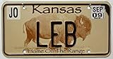 Grafik: Büffel / Bison USA Nummernschild KANSAS ~ Motiv-Kennzeichen US License Plate ~ KFZ Blech-Schild