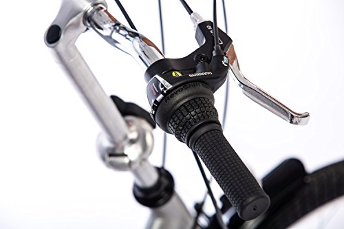 Leader Foldo 1.0 Steel 20 Zoll Klapprad Grau (2017) - 3