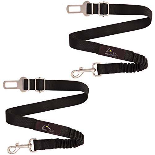 Meadowlark Ceinture de sécurité élastique pour Chien