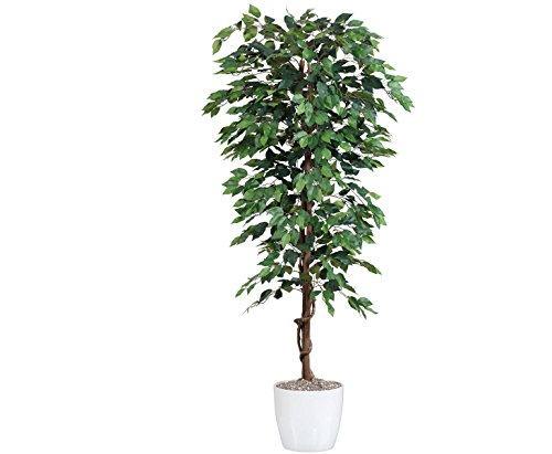 Kunstbaum 200cm Ficus Benjamini grün mit 2064 Blätter aus Textilfaser Material - 2