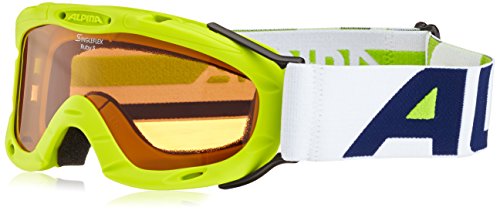 alpine ski goggles review