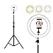 Price comparison product image Hamkaw 10" Led Selfie Ring Light with Stand, Mini Led Camera Light with Cell Phone Holder & 3 Light Mode, Led Circle Light for YouTube Video/Live Stream/Makeup