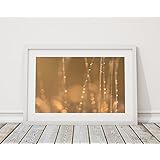 Fotodruck Fine Art Print