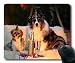 Produktbild Individuelle Mousepad, Hund, Maus - Pads, Silvester Silvester 2018, der Hund Gaming Mouse Pad