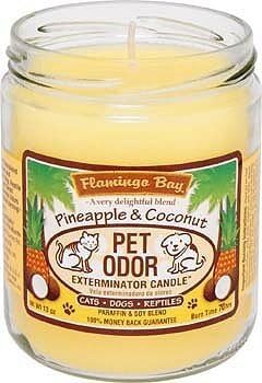 Pineapple Coconut Pet Odor Candle
