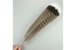 TUITA 10 unids/Lote de Plumas de águila Naturales para Manualidades, Accesorios de Tocado, decoración navideña, Plumas de Carnaval, decoración Artesanal DIY