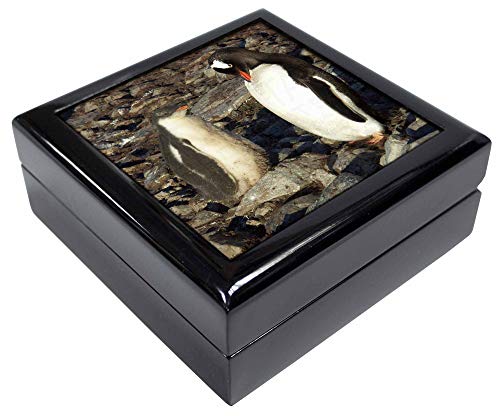 Advanta Group Penguins on Pebbles Keepsake/Jewellery Box