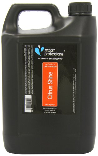 Groom Professional Limpiador brilloso citrus 4 l
