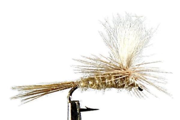 4 x Mouche sèche - Cahill Parachute - pêche à la Truite - Taille au Choix