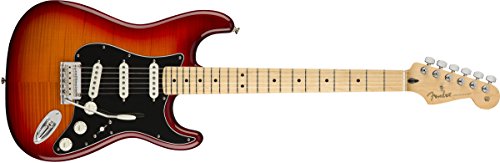 Preisvergleich Produktbild Fender 0144552531 Gitarre