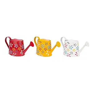 Nuha 2.5 liters Metal Hand Painted Watering Can, Gift, Gifting, Kid?s Beach Garden Gardening, Watering can, Watering can for Plants, Watering can for Garden (Set of 3)