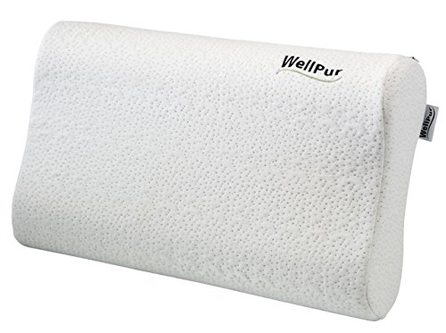 JYSK Pillow Wellpur Lake Tahoe 35X60X11/13