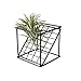Produktbild Arteki Rustic Style Air Plant Stand Metal Double-Laye Geometrical Shaped Square Grid Air Plant Flower Holder Tillandsia Stand Rustic (Black)