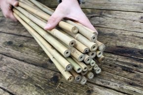 25 Stück Bambusstäbe – Bambusrohre 152 cm lang/ 15-17 mm dick - 2