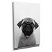 Produktbild Nerdinger Pug Portrait - Kunstdruck auf Leinwand (60x90 cm) zum Verschönern Ihrer Wohnung. Verschiedene Formate auf Echtholzrahmen. Höchste Qualität.